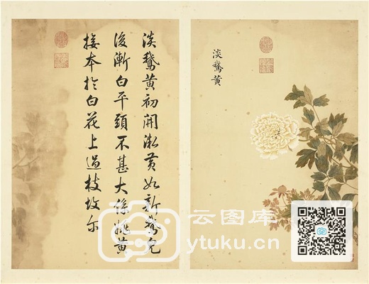 墨妙珠林(未册)·牡丹二十四品图-10 淡鹅黄