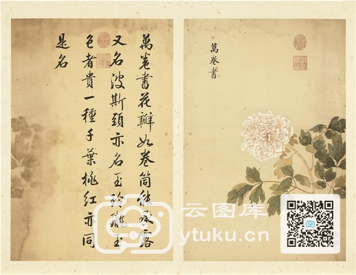 墨妙珠林(未册)·牡丹二十四品图-4 万卷书