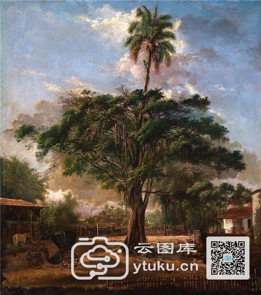 Fig tree_86bff484.jpg