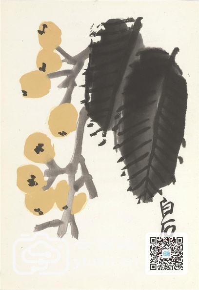 花卉册页-001-11.jpg