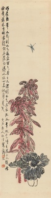 菊花图