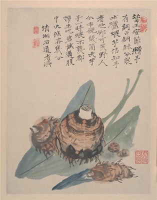 野色册页-2
