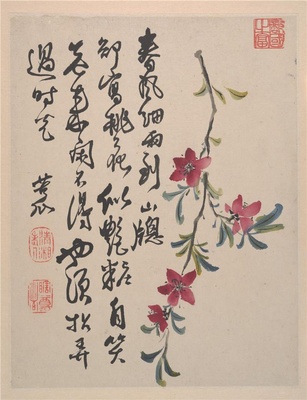 野色册页-6