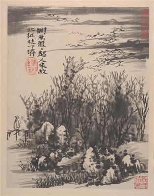野色册页-9