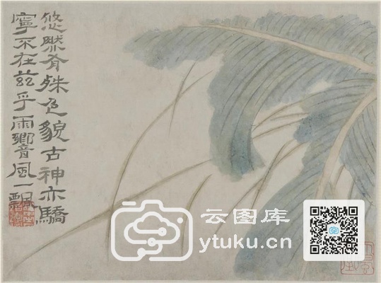 Album of Flowers and Portrait of 31f79f38