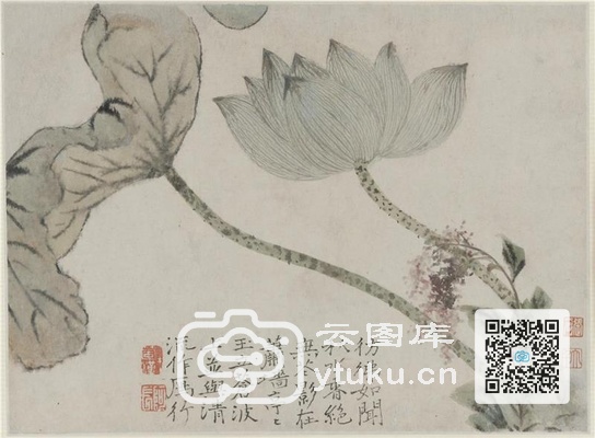Album of Flowers and Portrait of 4673cfdc