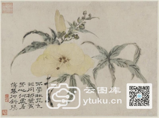 Album of Flowers and Portrait of f95b029c