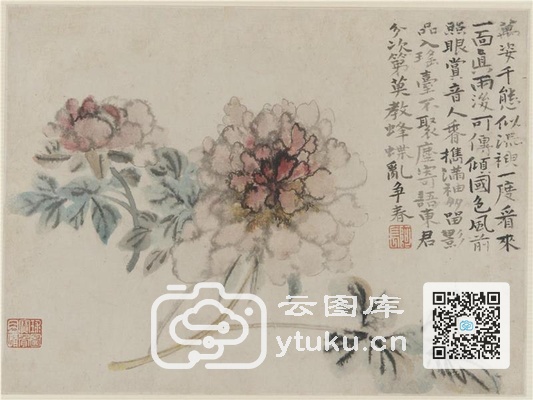 Album of Flowers and Portrait of