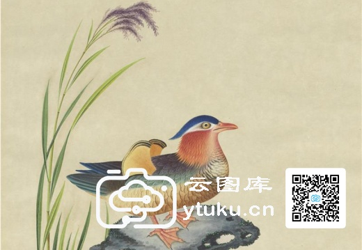 中国外销画册·花鸟图(辑1)